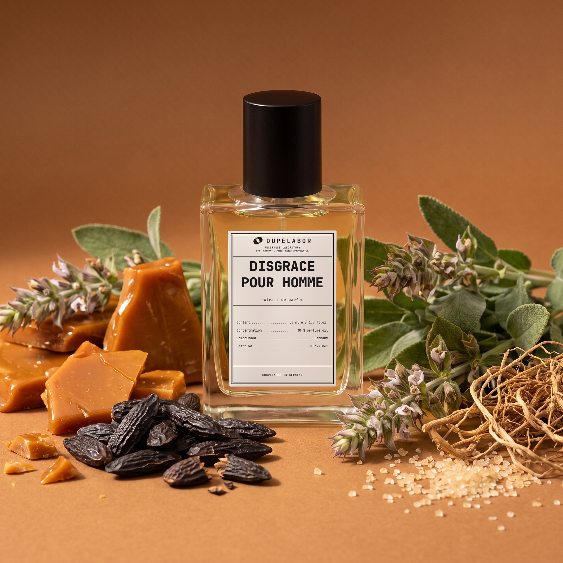 Disgrace pour Homme – Duftnoten